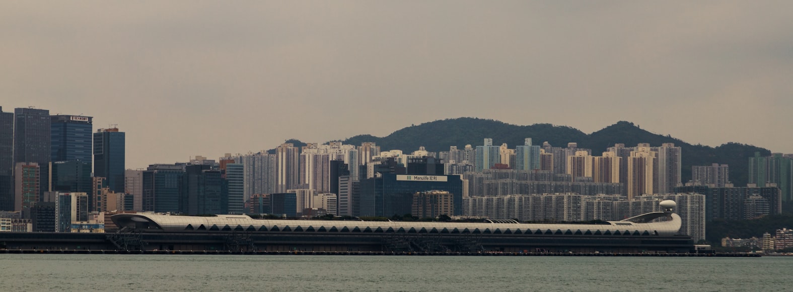 市场调研与需求分析