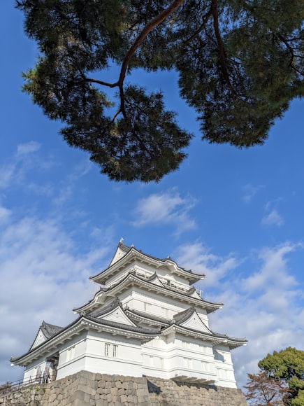其他费用
