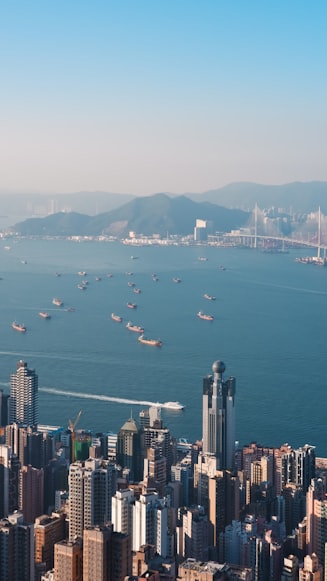 二、积极配合海关调查