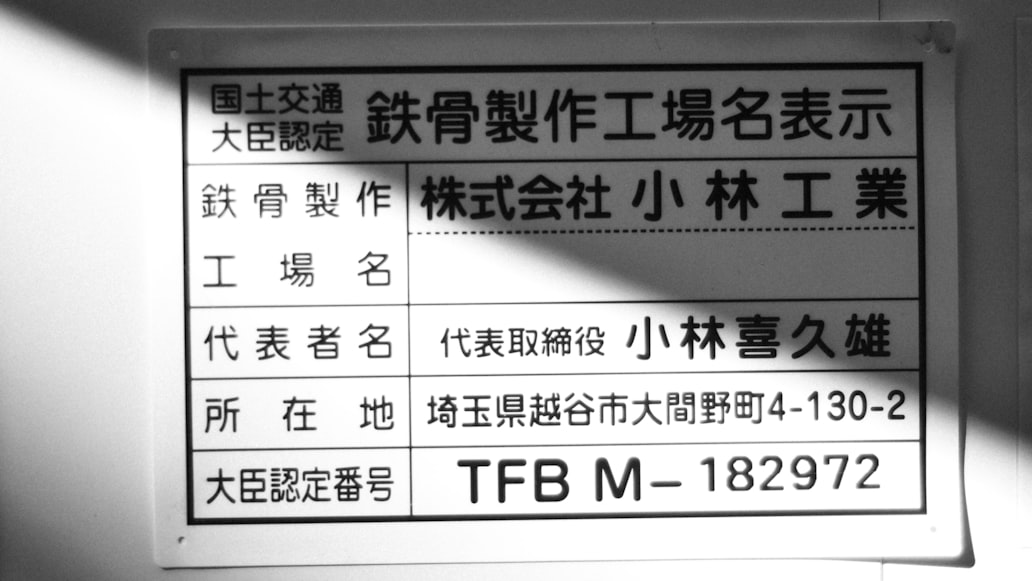二、TNT快递服务概述